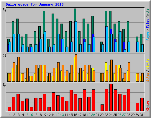 Daily usage for January 2013
