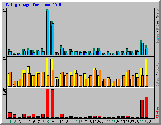 Daily usage for June 2013