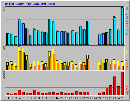 Daily usage for January 2019