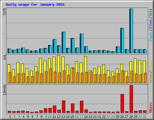 Daily usage for January 2021