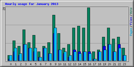 Hourly usage for January 2013