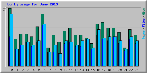 Hourly usage for June 2013