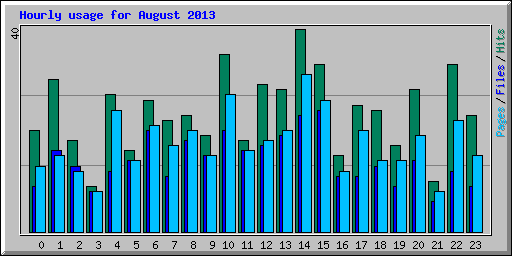 Hourly usage for August 2013