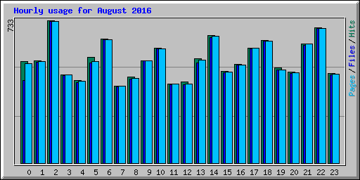 Hourly usage for August 2016