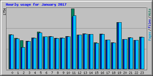 Hourly usage for January 2017