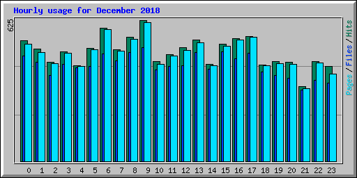 Hourly usage for December 2018