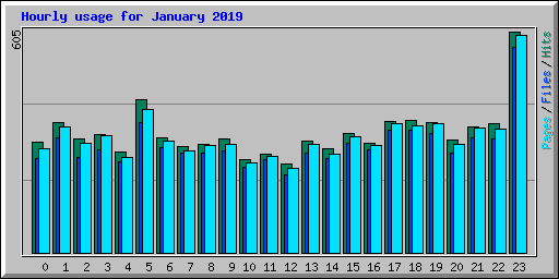 Hourly usage for January 2019