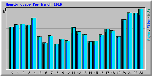 Hourly usage for March 2019