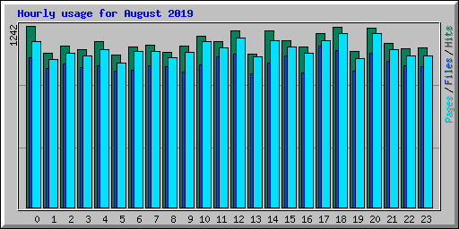 Hourly usage for August 2019