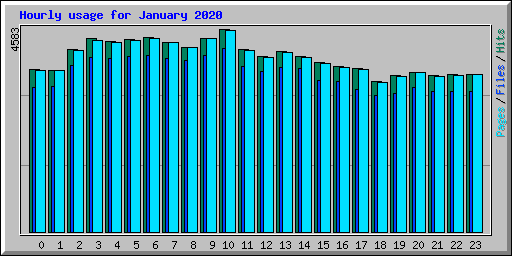 Hourly usage for January 2020