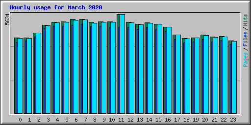 Hourly usage for March 2020