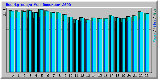 Hourly usage for December 2020