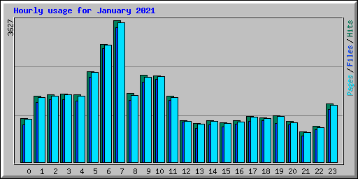 Hourly usage for January 2021