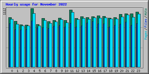 Hourly usage for November 2022