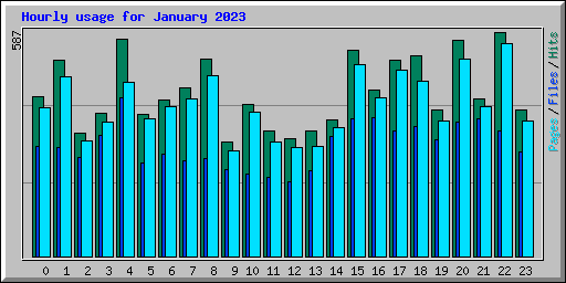 Hourly usage for January 2023