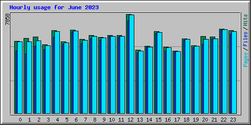 Hourly usage for June 2023