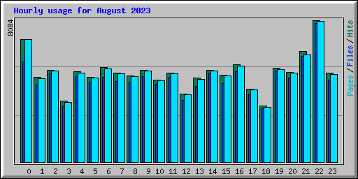 Hourly usage for August 2023