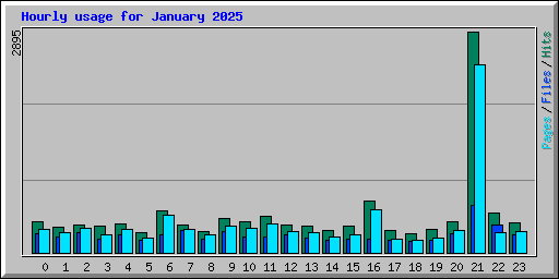 Hourly usage for January 2025